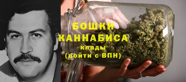 ешки Алексин