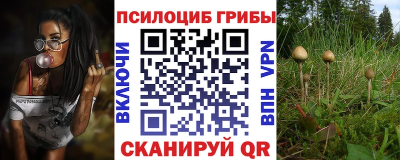 Псилоцибиновые грибы ЛСД купить закладку Южно-Сахалинск